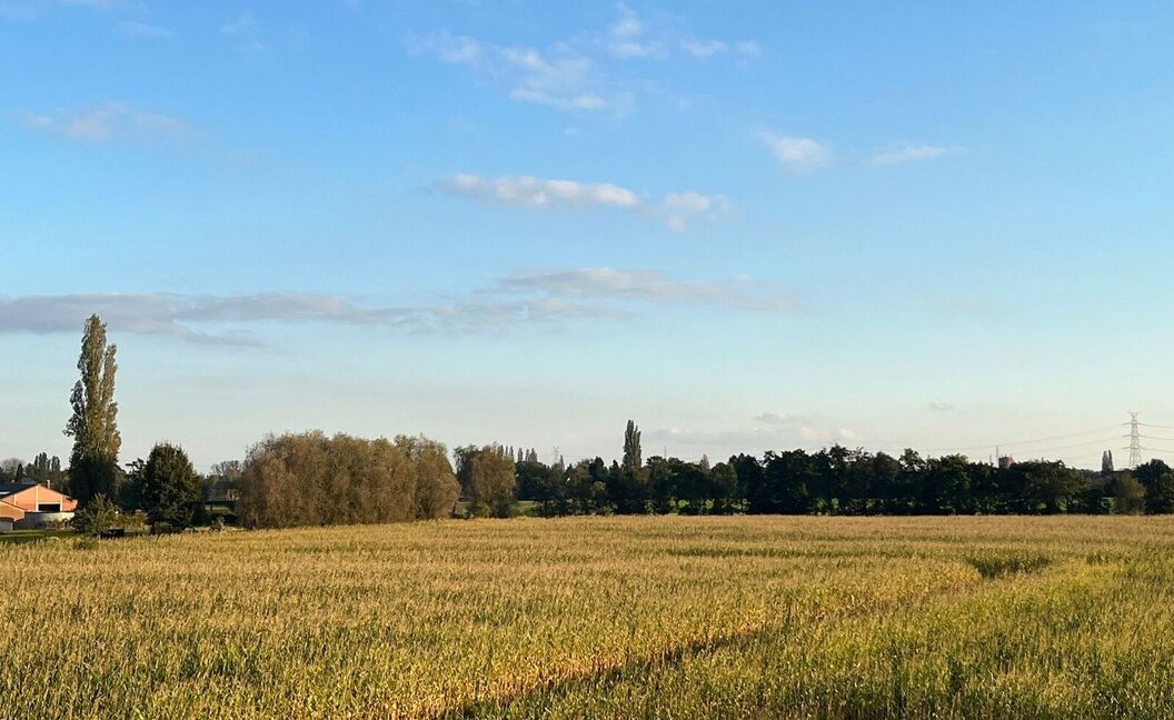 Appartement te huur in Aartselaar